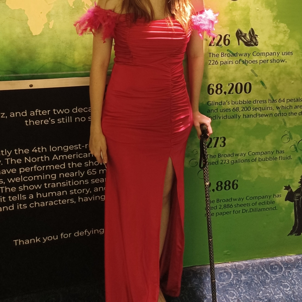Hot Pink Feather Prom/Pageant Dress